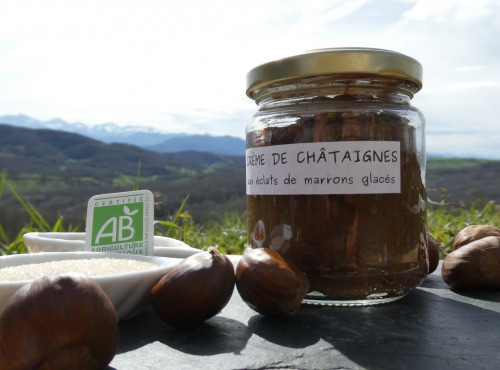 Terres EnVie - Crême de Châtaigne aux éclats de Marron Glacé Bio