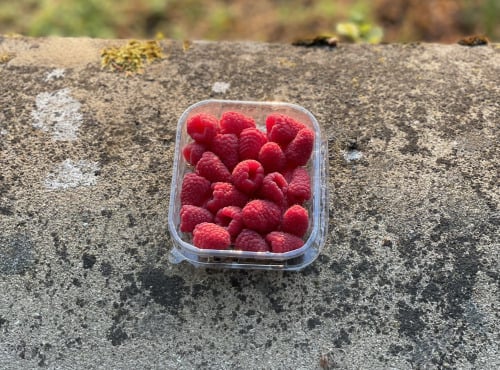 Les Asperges et Framboises du Soissonnais - Framboises 500gr