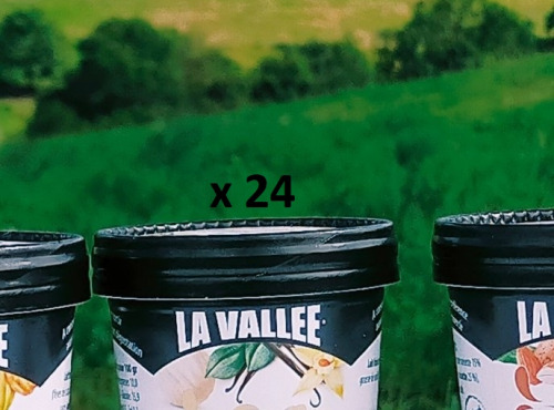 Les Glaces de la Vallée - Coffret Mini crèmes glacées Vanille "la Vallée" 24 pots de 120 ml