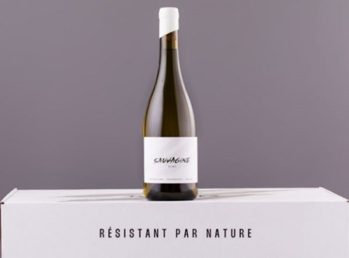 Domaine Sauvagine - Sauvagine Blanc 2024 x6 - Vin bio & cépages résistants