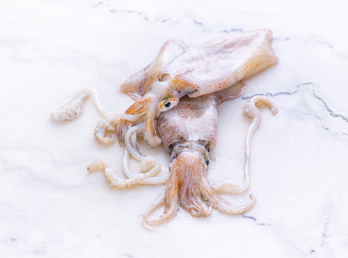 Poissonnerie La Piriacaise - encornet entiers non nettoyés