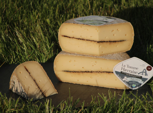 Ferme Dumesnil - Tomme Havraise au Café