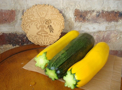 Ferme de Cernunnos - Mix de courgettes colorées bio - 500g