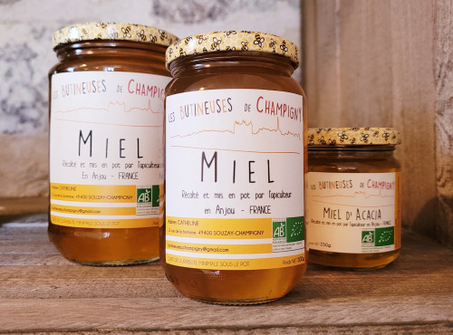 Les Butineuses de Champigny - Miel d'acacia bio - 500g