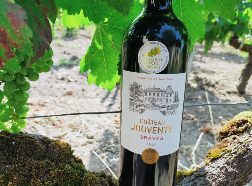 Château Jouvente - Le fabuleux millésime 2015 de Jouvente - 1 Bouteille