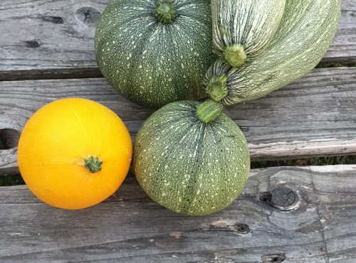 La Ferme de Milly - Anjou - colis mixte courgettes-5kg-BIO