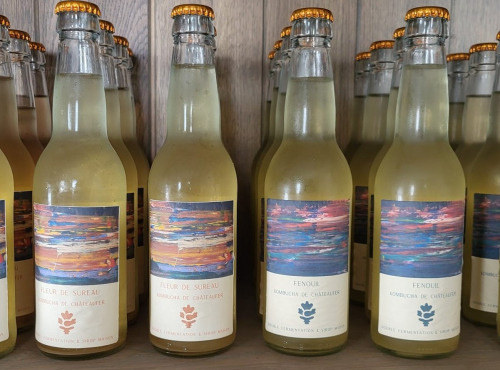 ChâteauFer - Kombucha Fenouil 6 x 33cl