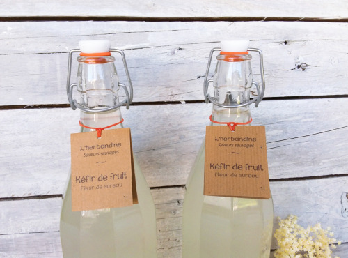 L'herbandine - Kéfir de Fruit - Fleur de Sureau - 2x1L