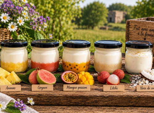Gaec de l'Elanion - lot de 10 fromages blancs fruits exotiques