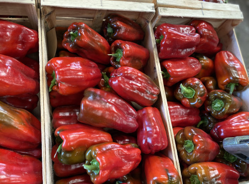 La Boite à Herbes - Poivrons Rouges-500 g