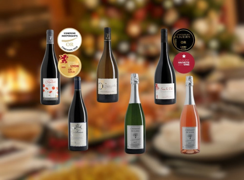 Domaine de la Chopinière du Roy - Coffret de 6 vins pour Noël - (6 x 75 cl - 4 à 8 personnes)