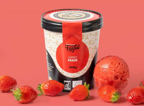 Mademoiselle Fayel - Sorbet Fraise gourmand et rafraichissant - 100% Bio 500ml