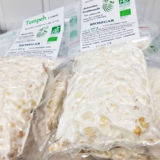 Tempeh Biosegar - Tempeh Artisanal Bio 100% Français lot de 4x200g