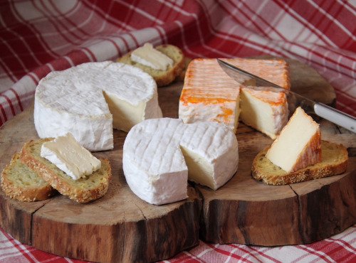 Ferme Dumesnil - Fromages x3 - Carré - Castillon Aromatisé - Cœur
