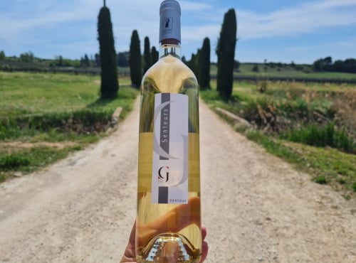 Domaine Girod - AOP Ventoux Vin Blanc 2023