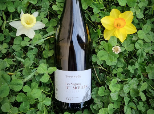 Domaine Truchefaud - Vin Blanc IGP Drôme - Les Vignes du Moulin x6