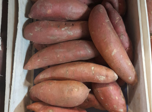 Le Châtaignier - Patate douce Bio - 1 Pièce - 800-1300g