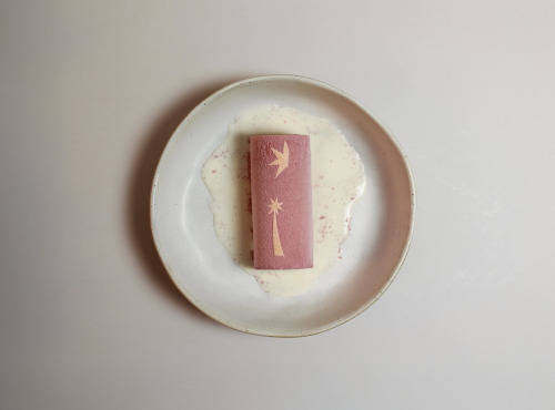 GT Designer Glacier - Bûchette Glacée "La Signature"