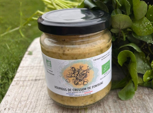 Cressonnière de Montmirault - Houmous au cresson de fontaine