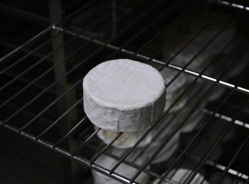 Alléosse Maitre Artisan Affineur Fromager - Barisien au lait cru (1/2)