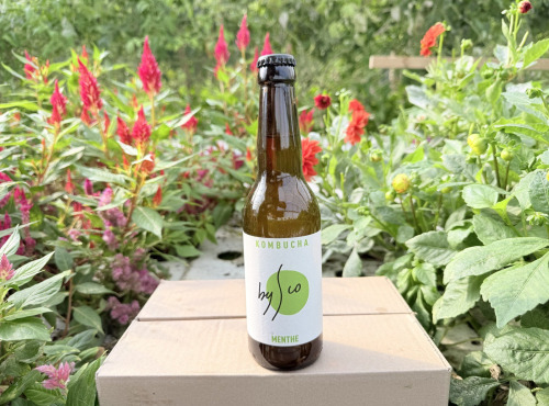 Nature et Saveurs - Ferme Aquaponique et Permacole Astérienne - Kombucha Menthe Bio Bysco - 33cl