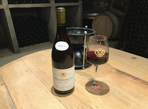 Domaine Michel & Marc ROSSIGNOL - Bourgogne "Pinot Noir" 2017 - 6 Bouteilles