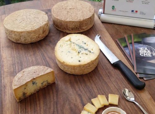 La ferme des Montigots - Fourme des Montigots 500g