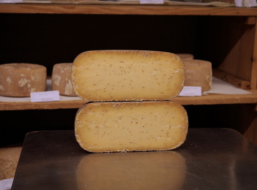 Alléosse Maitre Artisan Affineur Fromager - Tomme Tradition au Cumin au lait cru 1kg