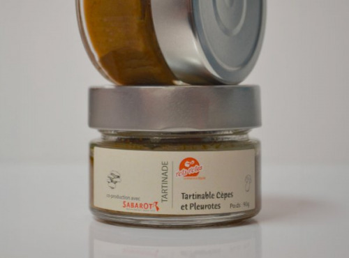 Pots Potes - Tartinade - Cèpes et pleurotes