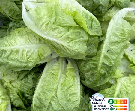 Les Nouvelles Fermes - Cœur de sucrine x2