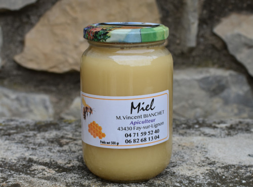 La Truite du Mézenc - Miel de Lavande crémeux - 500g