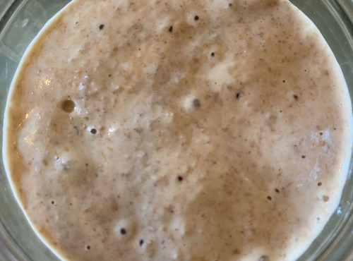 Ferme Sinsac - Levain au blé, grand épeautre et petit épeautre complet 200 grs