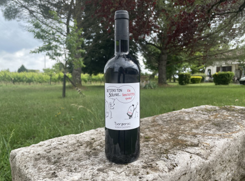 Vignobles Fabien Castaing - AOC Bergerac Rouge Retiens ton soufre 2019 - 75cl