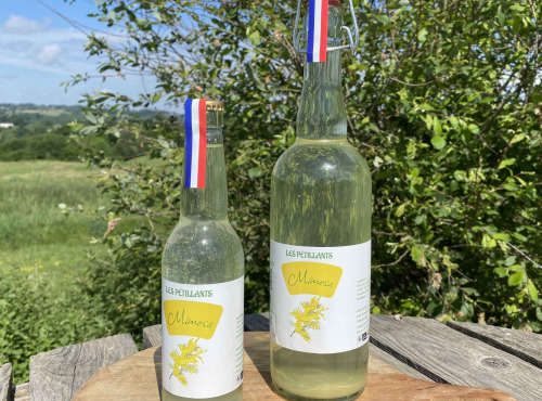 Ferme Sinsac - Lot de 6 bouteilles de pétillant de Mimosa sans alcool