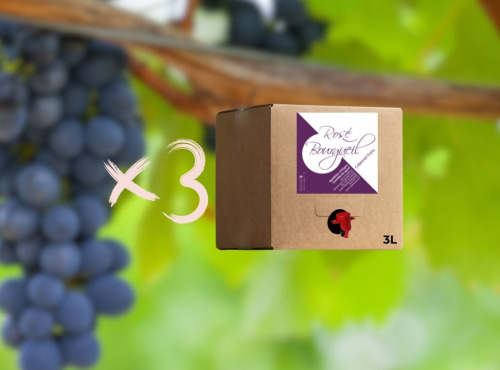 Domaine de la Chopinière du Roy - Lot de 3 BIB de vin rosé 2025 Sec et fuité 3 Litres