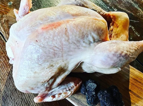 Des Poules et des Vignes à Bourgueil - Dinde Bronzée