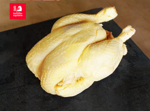 Maison Lascours - Poularde 2200g