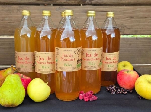 Le verger bio de Quinsac - Lot jus découverte 6L Bio et DEMETER