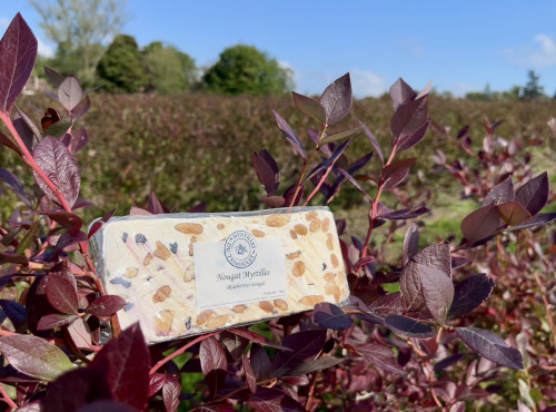 Myrtilles du Trimoulet - Nougat Myrtilles