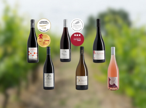 Domaine de la Chopinière du Roy - Coffret cadeau découverte des vins de Loire "Les 6 vins de Loire du Domaine" - 6 x 75 cl