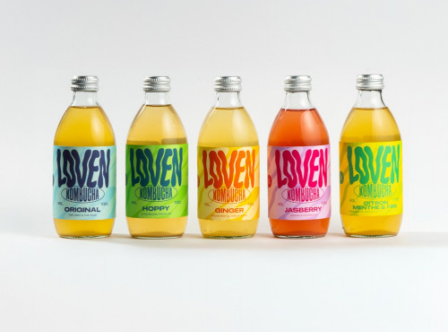 LOVEN Crew - Brasserie L'Indispensable - Kombucha Pack Découverte - 12x33cl