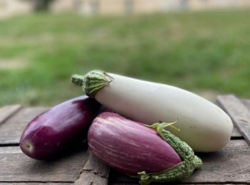 ChâteauFer - Aubergine