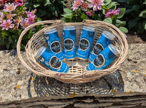 L'Eurélienne - Brasserie de Chandres - Pack 6 canettes de LIMONADE 33cL Apick!