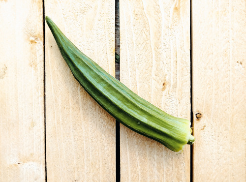 Nature et Saveurs - Ferme Aquaponique et Permacole Astérienne - Gombo frais de la ferme – Abelmoschus esculentus