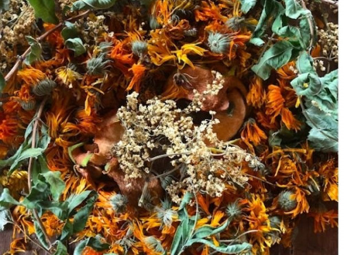 La Cabane à plantes - Infusion Novembre