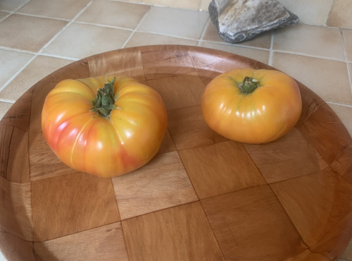 Ferme Cadillon - Tomates charnues Ananas - Pleine terre et HVE - 1 Kg