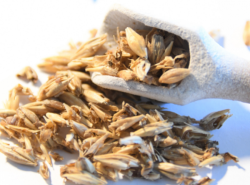 Adal Terra - DRÊCHES ENTIÈRES BIO SÉCHÉES 5 KILOS