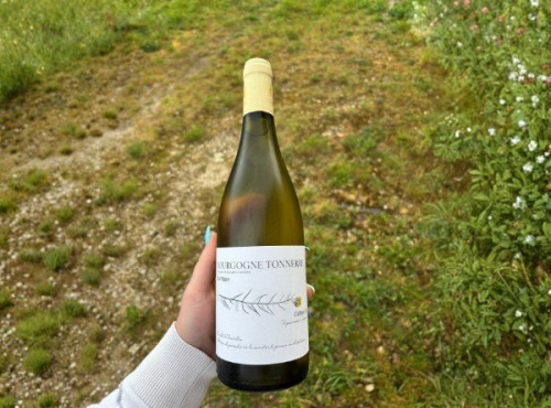 Domaine Céline Coté - Bourgogne Tonnerre Barrique 2025