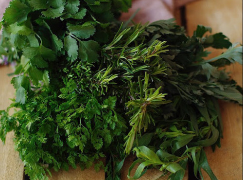 Maison Argentain - Petit Panier de Nos Herbes Aromatiques - 5 Bottes : Classiques & Originales