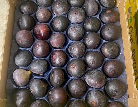 L’Oliveraie du Coudon - FIGUES  AOP SOLLIES  5 COLIS de (1kg600 1k800 env)